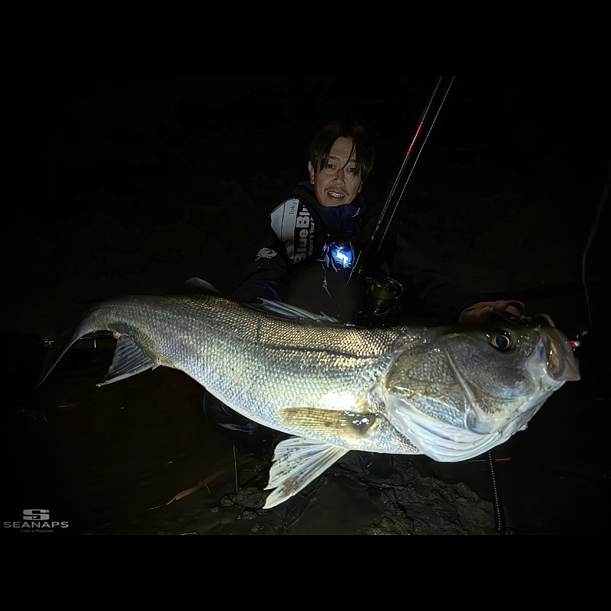 sei_uchida_fish's tweet photo. 寒波で気温も下がり水も冷たい今年の年末。流れが出ても動き回っている魚は感じられず。この展開もあろうかと忍ばせていたLUCK-V GHOST。相変わらず良い食い方。このルアーも外せない季節。
#PR #APIA #ZALTS #LINESYSTEM #XENOS #シーバス #ルアーフィッシング #zexus #伊勢湾奥 #LUCKVGHOST https://t.co/vUTJ6nvUCN