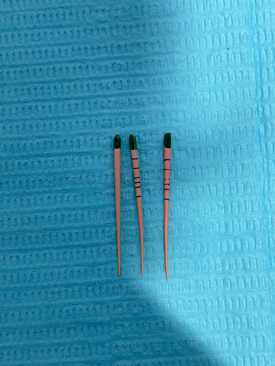 M.kamly (mabo) tweet media