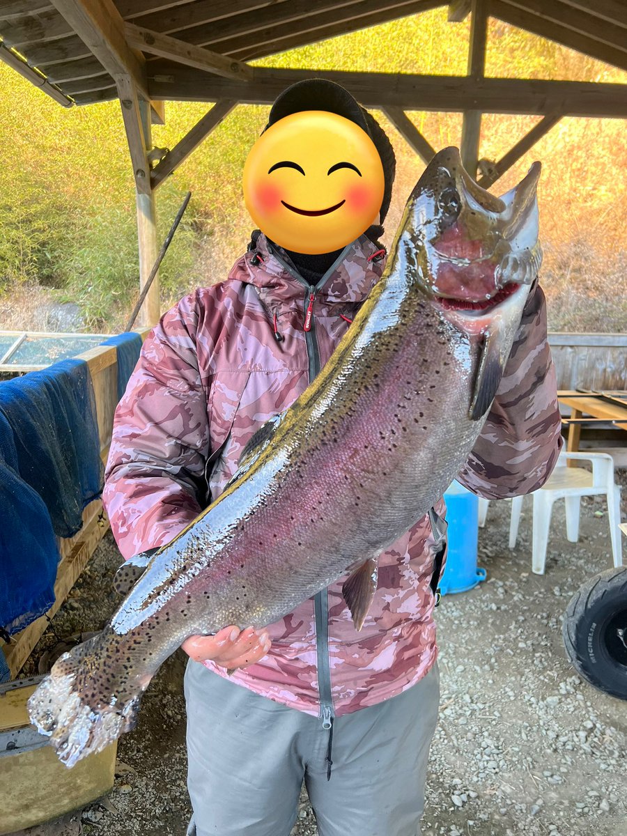 tapir(バク)-w tweet media