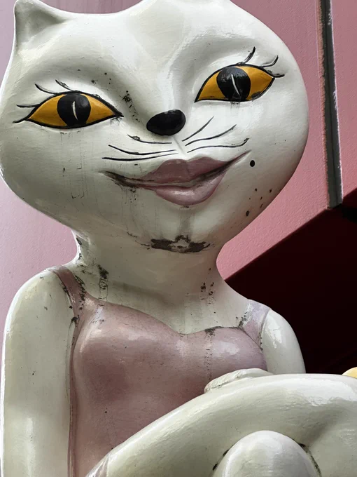 美猫発見! 