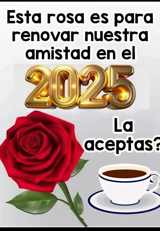 Javier Zoilo tweet media