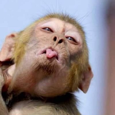 Dahiruatee's tweet photo. #NewProfilePic https://t.co/LaHspcPXN0