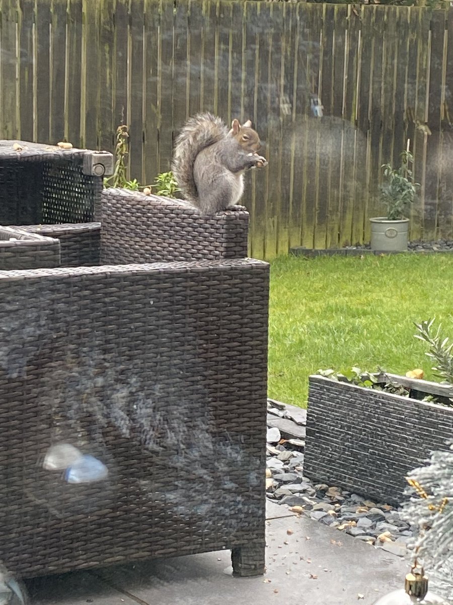 Gary Bradley tweet media