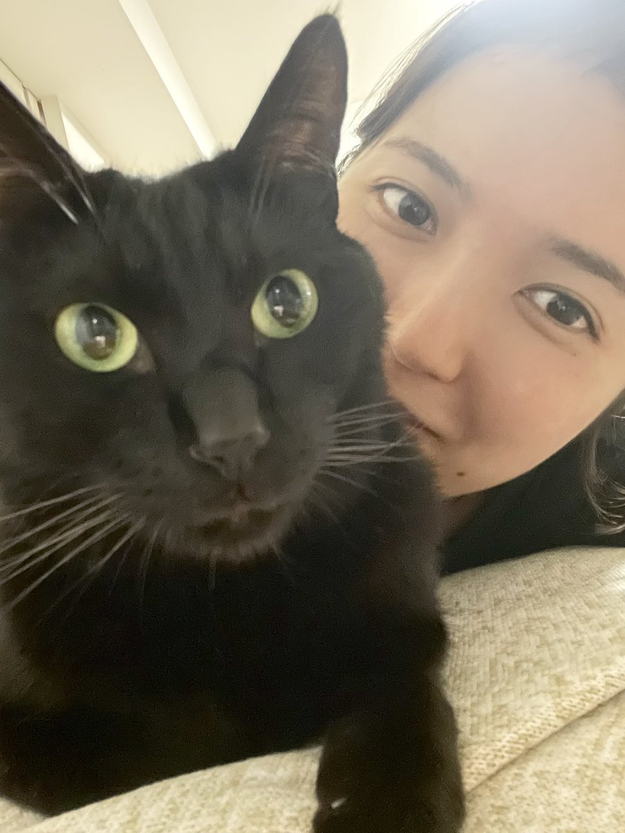 nanami_ijima's tweet photo. 退職のご挨拶とご報告🐾
私事ですが、年内でインターンから約8年在籍したペトコトを卒業することになりました。この場をお借りして、関わっていただいた全ての方に心より感謝申し上げます。

これからもよろしくお願いします！

#ペットを家族として愛せる世界へ https://t.co/9FuaXd4DXX