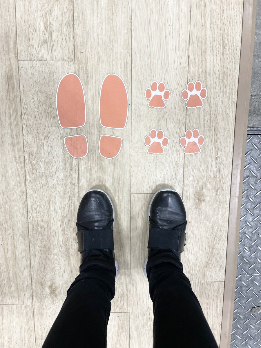 nanami_ijima's tweet photo. 退職のご挨拶とご報告🐾
私事ですが、年内でインターンから約8年在籍したペトコトを卒業することになりました。この場をお借りして、関わっていただいた全ての方に心より感謝申し上げます。

これからもよろしくお願いします！

#ペットを家族として愛せる世界へ https://t.co/9FuaXd4DXX