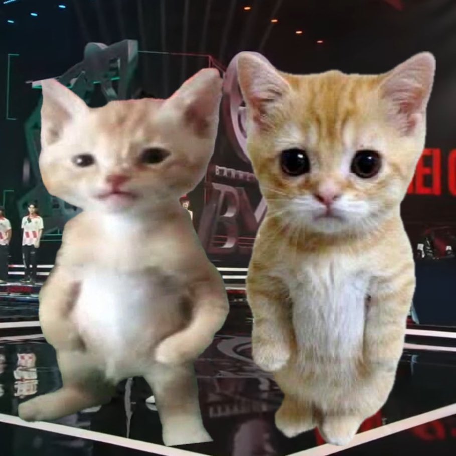 😾                 😾