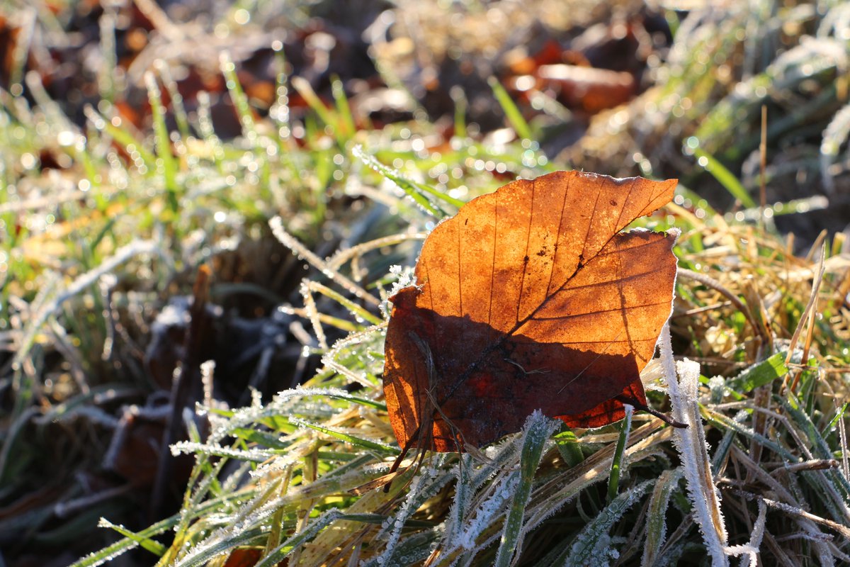 „Diejenigen, die nicht mit Aufmerksamkeit den Bewegungen ihrer Seele folgen, geraten notwendig ins Unglück.” (M. Aurel) #NatureTherapy #NaturePhotography #Mindfulness #tastymind #happyness #glueck #Ethics #Aurel #bewusstleben #Philosophy #History (tastymindset.blogspot.com)