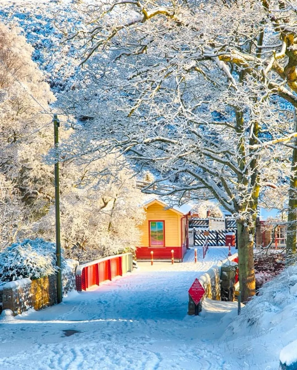 visitnorthyork's tweet photo. Goathland Station ❄️ https://t.co/w62bPbqnLp