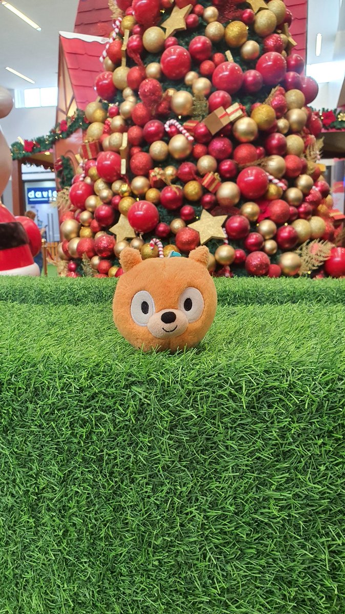 Daily Woff Migration ~○ tweet media