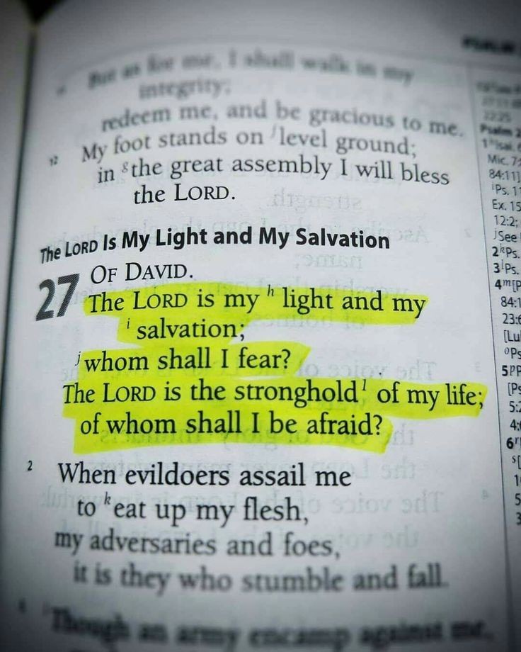 Bible 365 tweet media