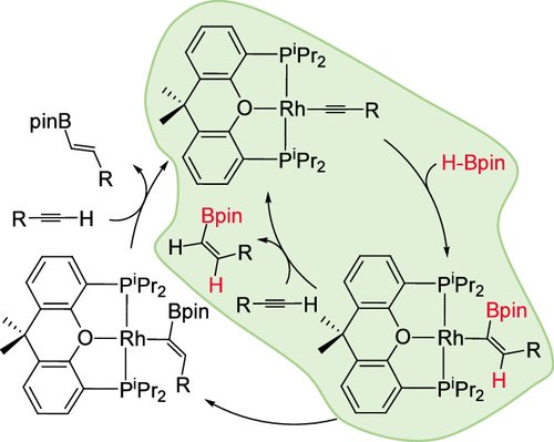 To end the year, very happy to share this work <a href="/Orgmet_ACS/">Organometallics</a> . Congratulations to Laura and Kasia!!!