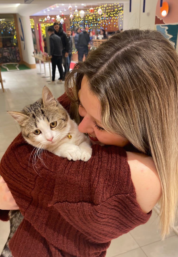 2024 ün mutsuz kedisi favlayanlar kediyi güldürecek