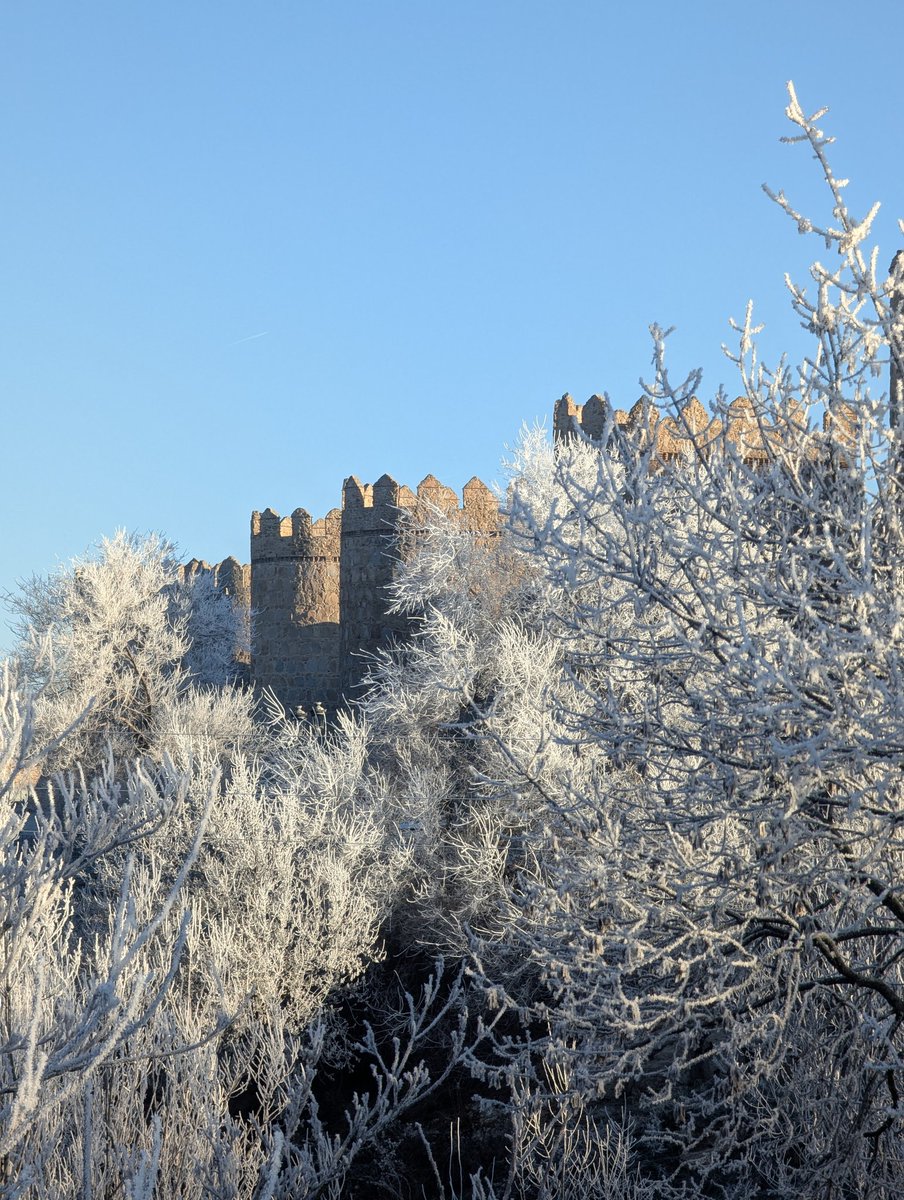 Fco Javier Garcia tweet media