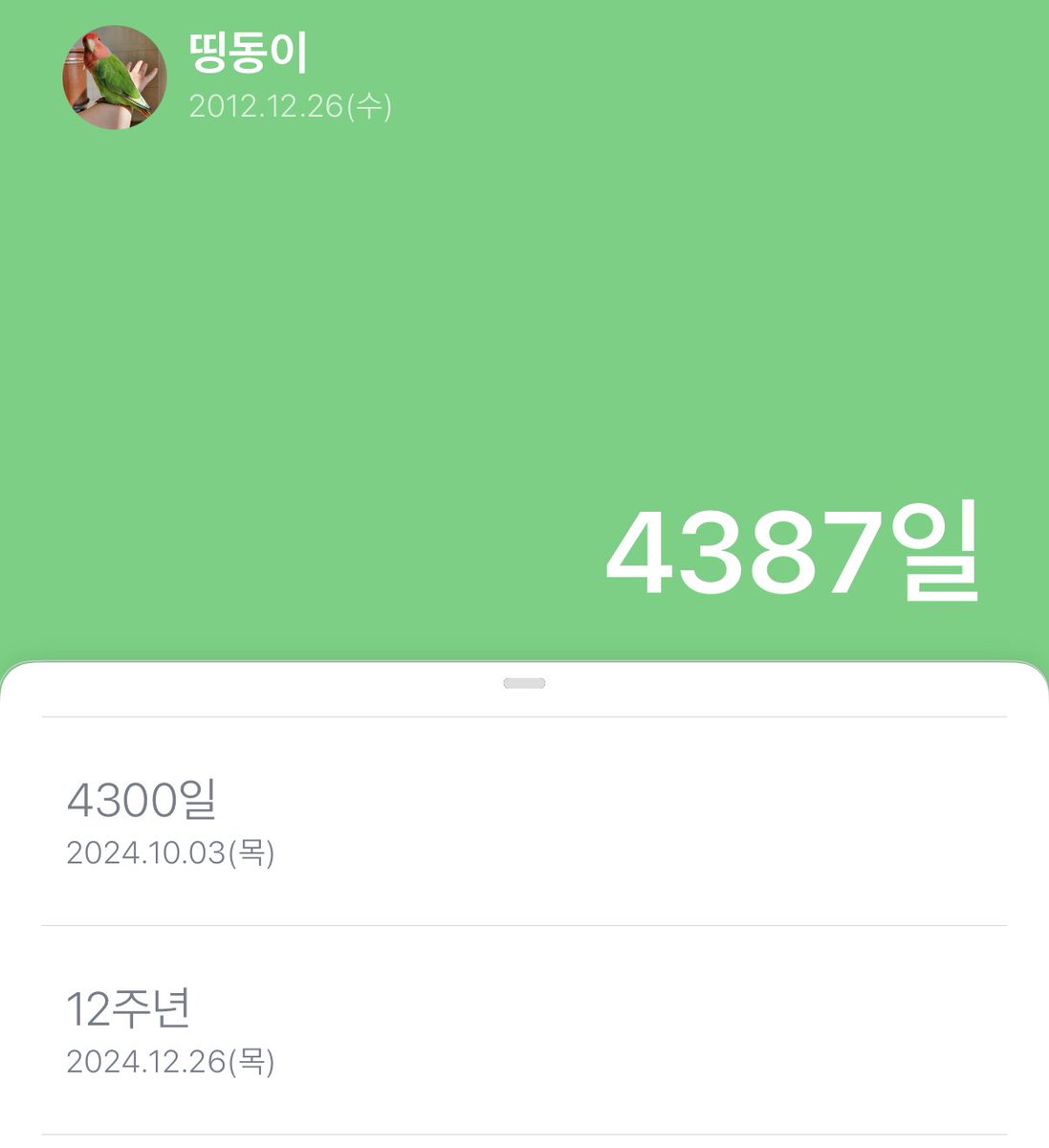 띵동이 만난 지 12년 꽉 채우는 날 입 짧은 초록새한테 따로 챙겨줄 수 있는 건 없고... 평소에 껍질 난리남 이슈로 잘 안 주는 밀렛을 선물했어융 예쁜 내 초록새 내 옆에 조금만 더 같이 있어주라 사랑해💚