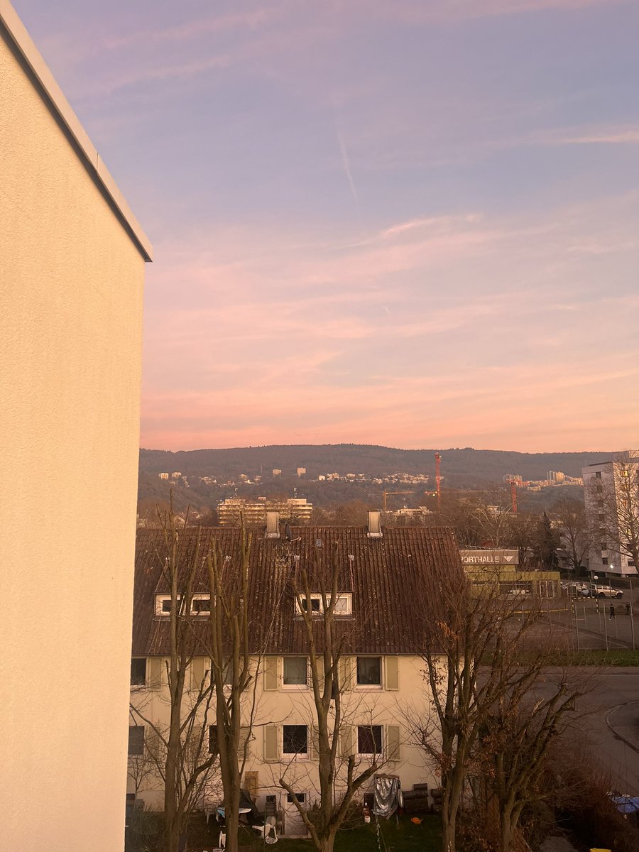🌅