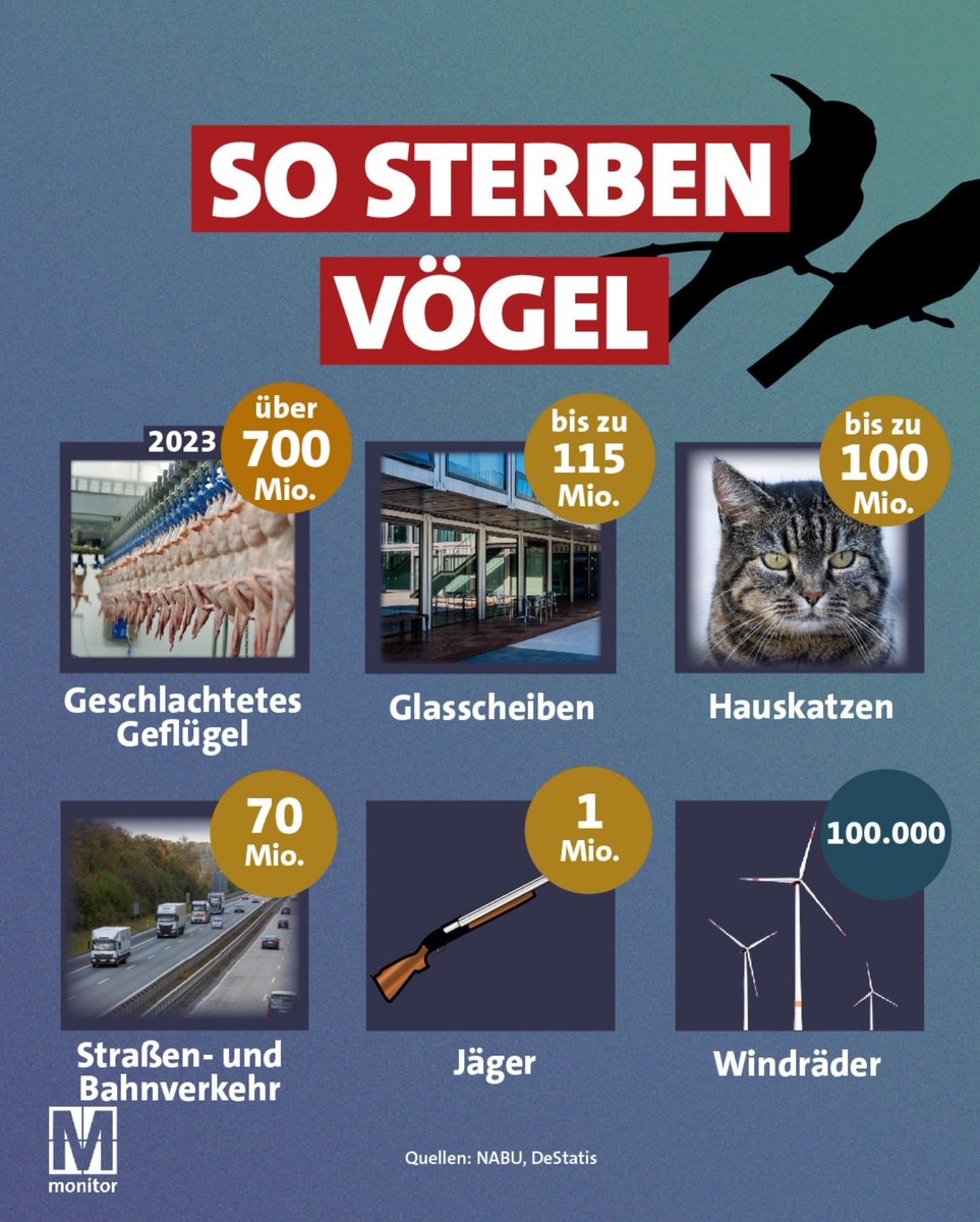 Sterben viele Vögel durch #Windkraftanlagen?
Zur Einordnung: