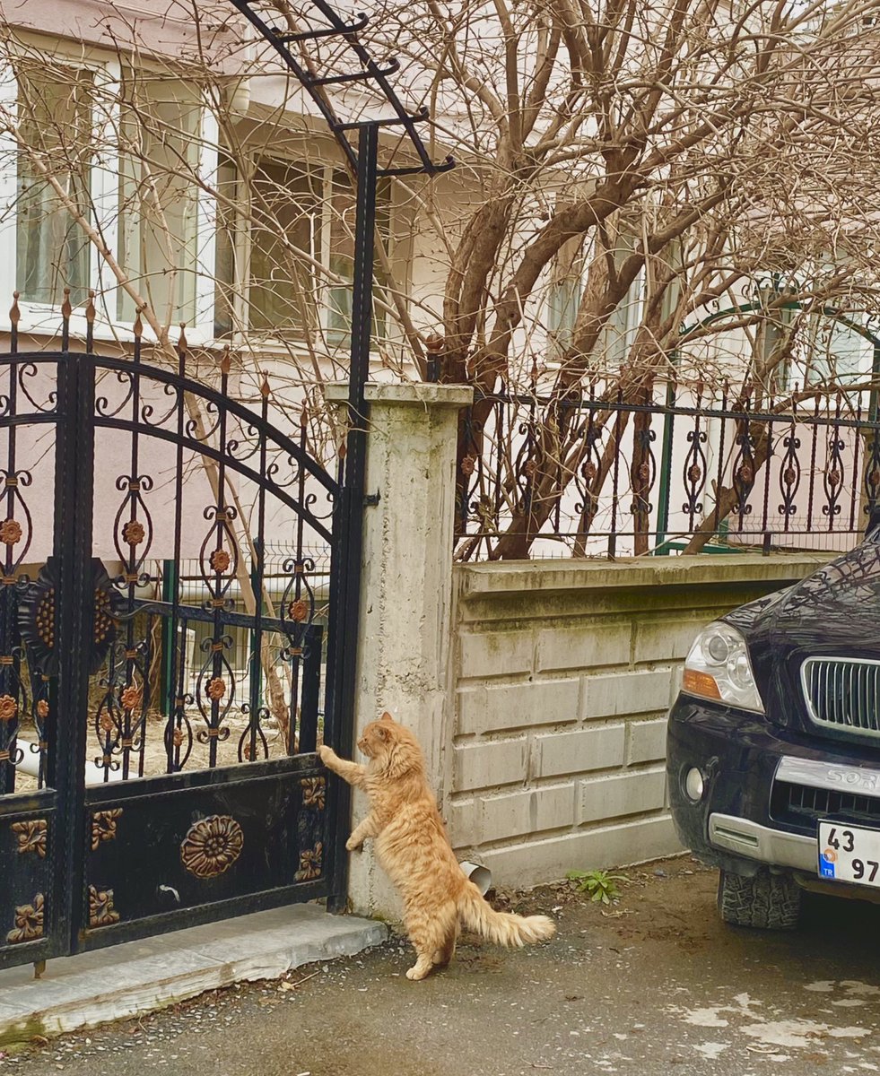 züleyha🪬🍀 (@unddiinee) on Twitter photo 