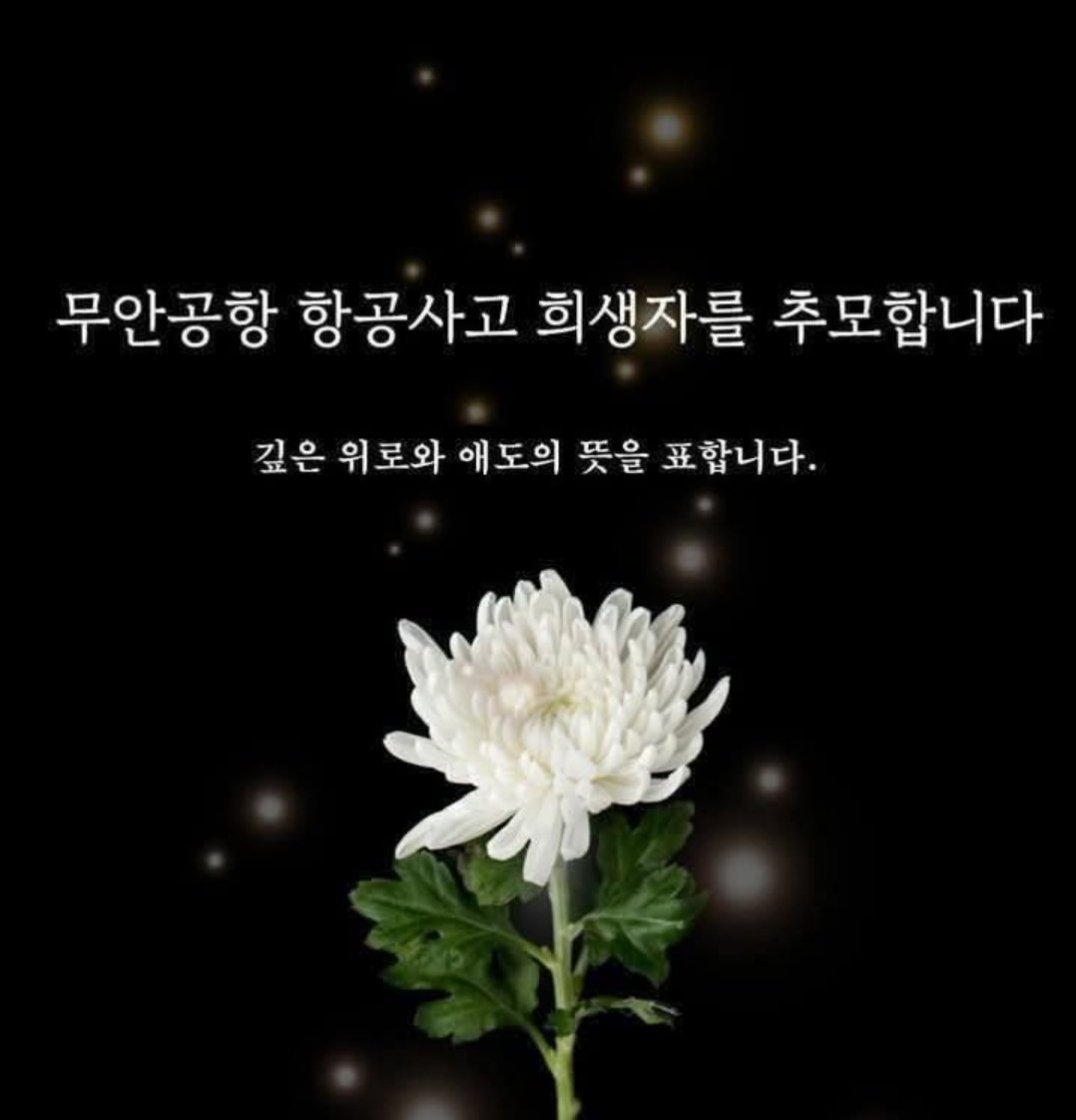 달별바라기⁷(ㄷ_6ㆍㅅㅈㄷ) (@sichosae) on Twitter photo 