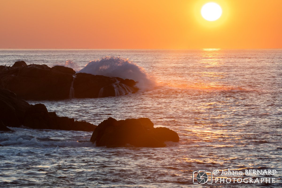 Johann Bernard photo tweet media