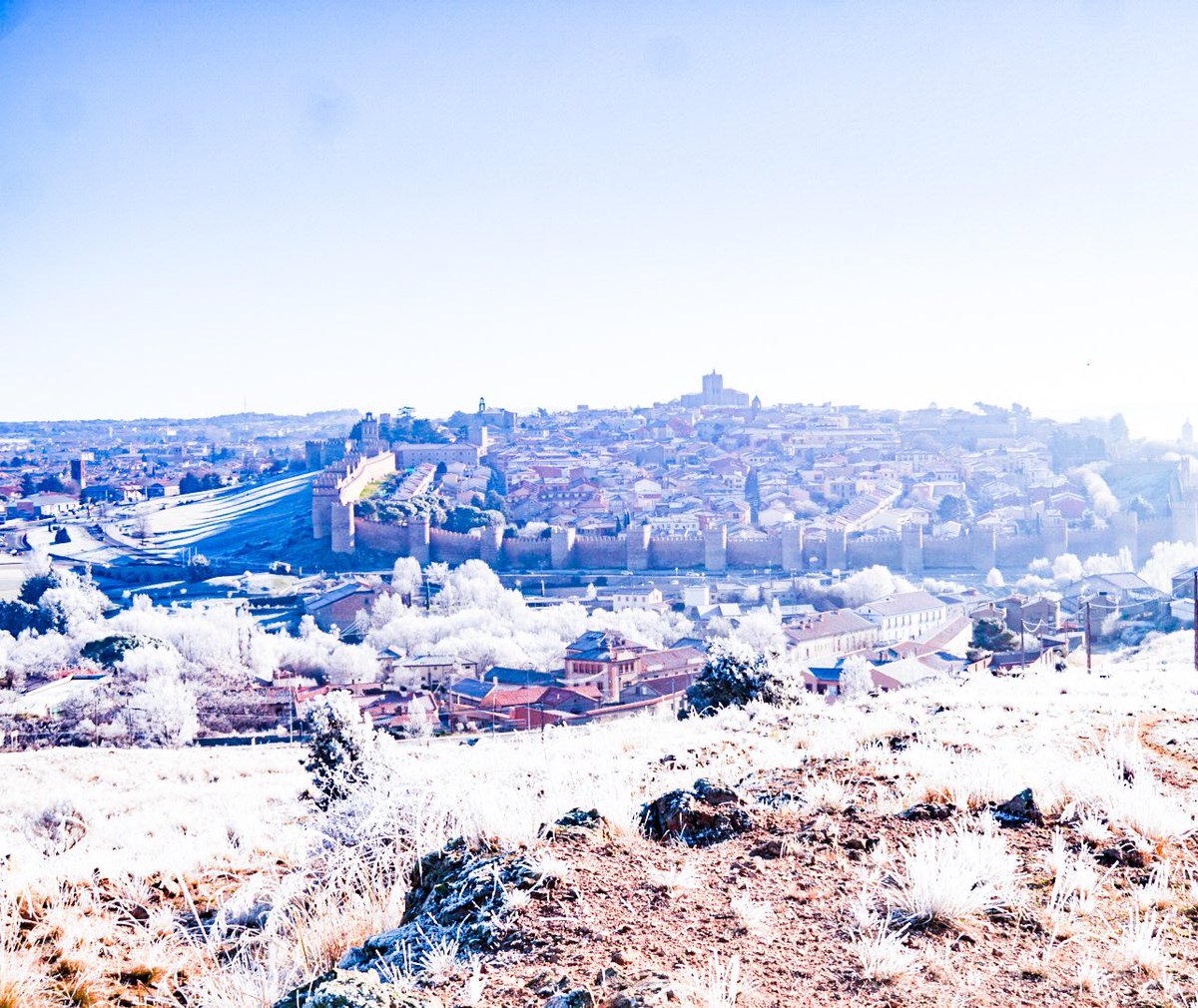 VentanasDelCiel's tweet photo. Espectacular #cencellada hoy  en #Ávila  ❄️ y como la mayoría de las cosas buenas , fue muy efímera, salió el sol y desapareció el hielo😊 @CyLEsVida https://t.co/T0D6AjThb3