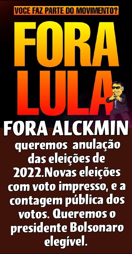 Fernanda tweet media