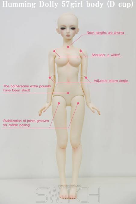 [구함글]

스위치 허밍돌리 HD57 바디 (노멀 / D컵)

#트인덕장터