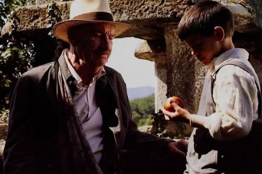 Cinema Viu tweet media