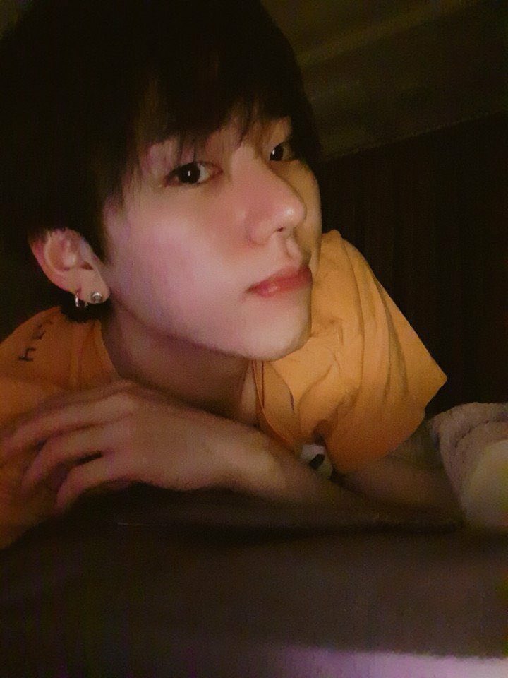 야옹이 tweet media