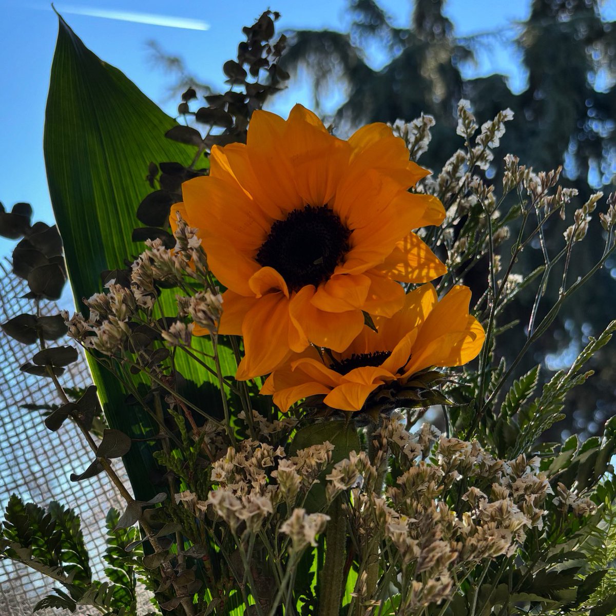 A totes les persones que treballen aquestes festes.
A totes les persones que estan malaltes.
A totes les persones que estan soles per força.
A les que se senten soles estant acompanyades.
A les que estan lluny.
A les que volen deixar de fumar.
A les que volen tenir parella i no