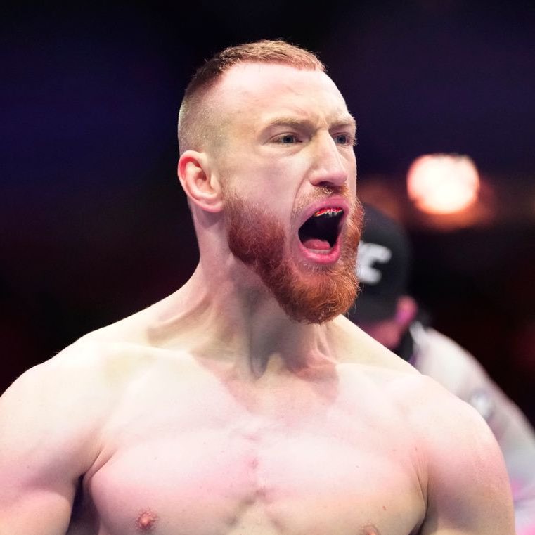 MMA Orbit tweet media