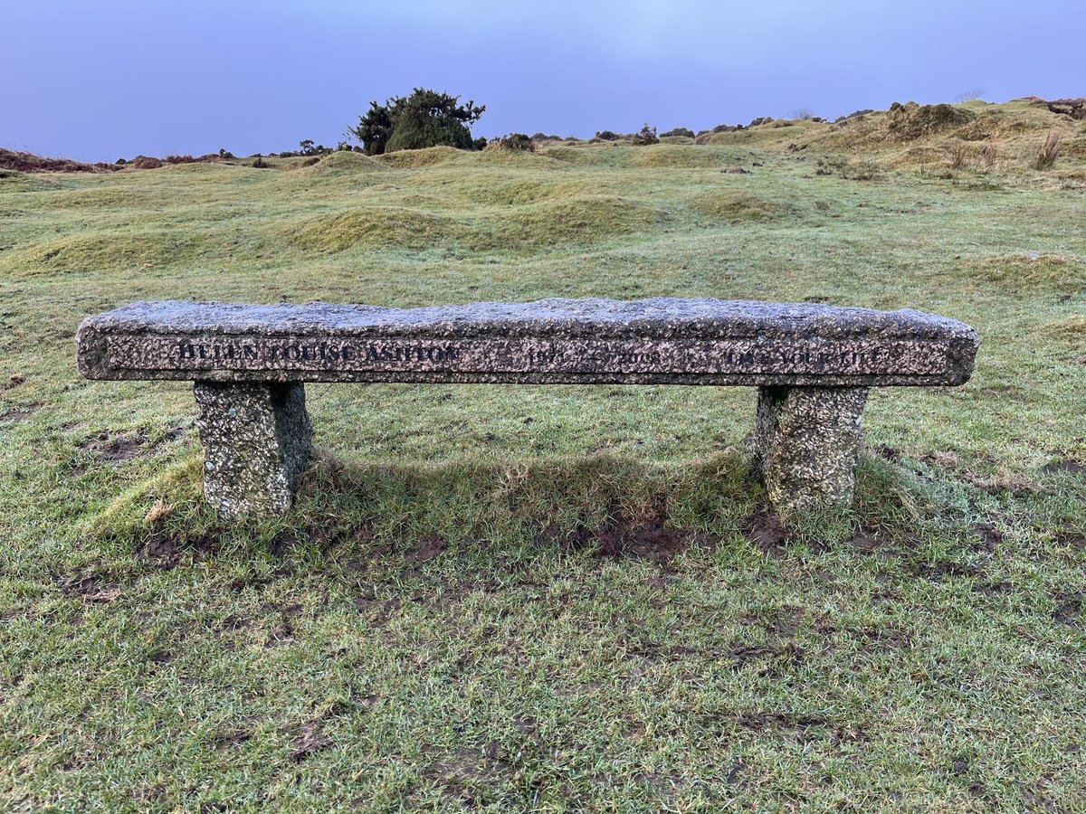 Trevelyan May tweet media