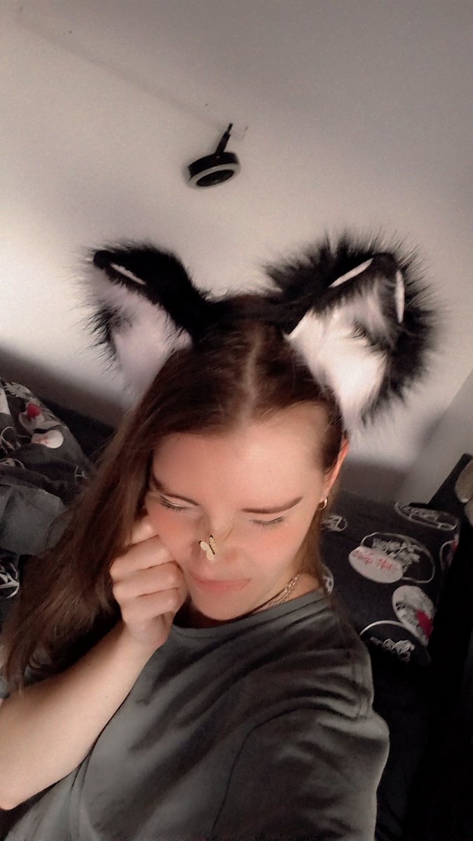 Got my new ears I'm one happy fox