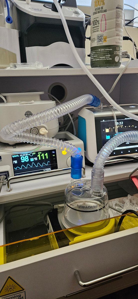 BcnFox's tweet image. An ordinary Sunday morning. Our ordinary days are the stuff of nightmares for most people. Which is why the few people who supported us are truly extraordinary human beings. They understand. I want to thank you on this last Sunday of 2024. I will see you in #Ithaca ✊️ ⚕️🎄🎅🙏