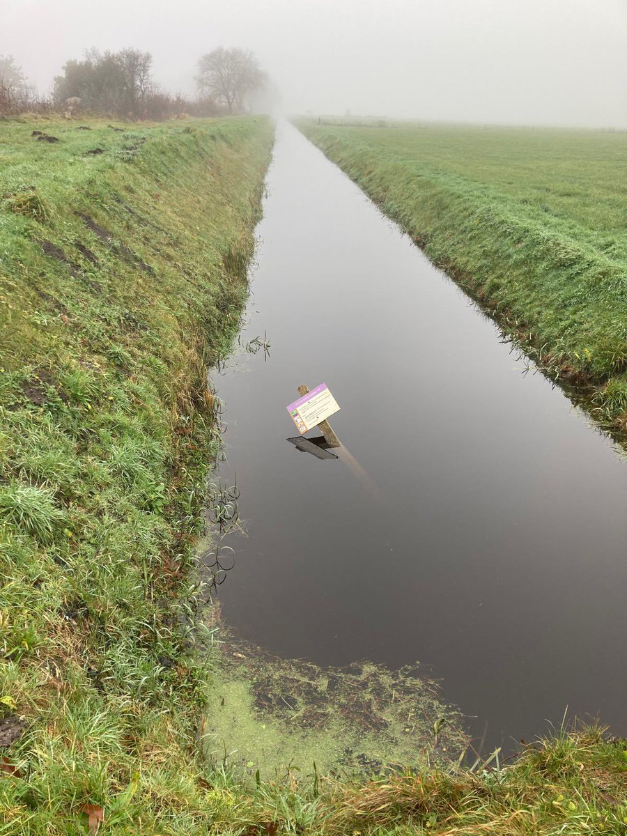 In het #Holtingerveld is recent ook een loslopende zeehond gezien. Daarom zetten we de borden met toegangsvoorwaarden nu ook in de sloten. 🥲