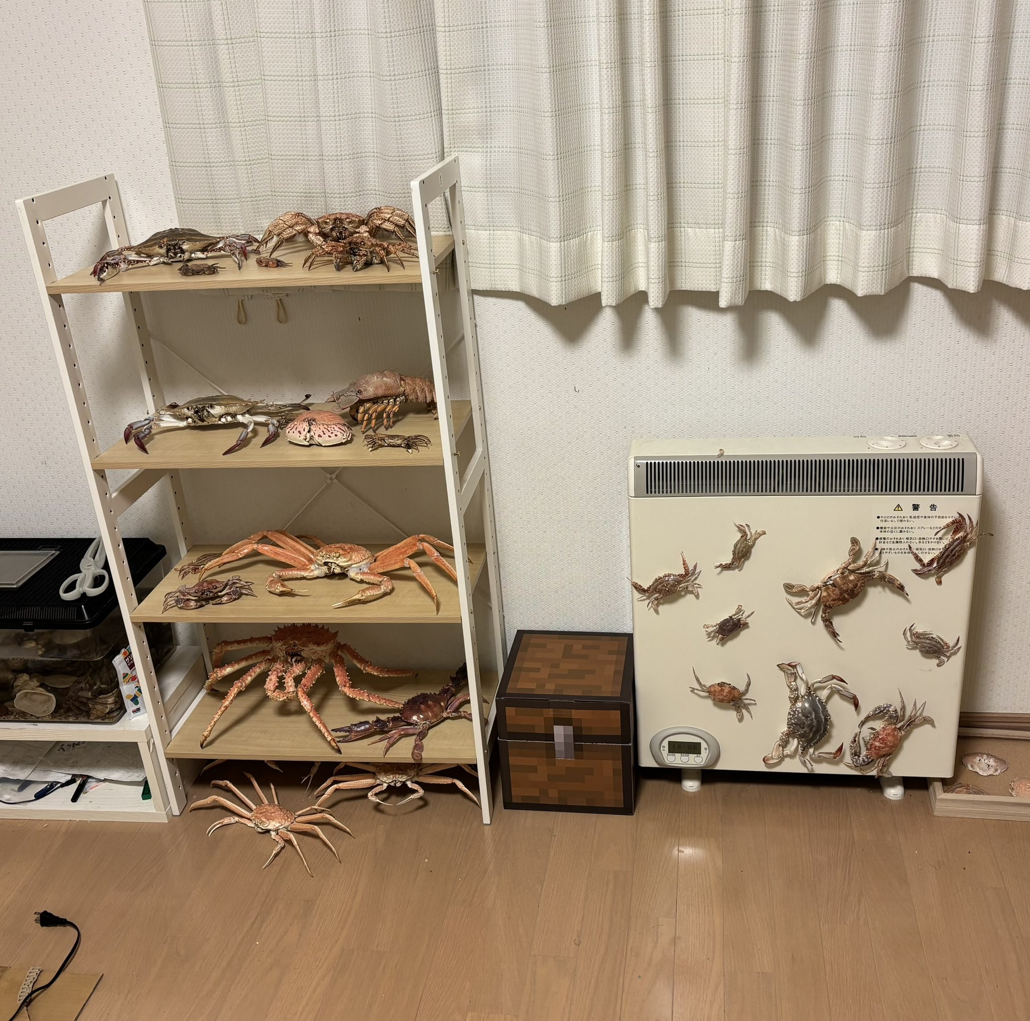 天然テンの剥製 2025年最新】剥製 マフラーの人気アイテム - メルカリ