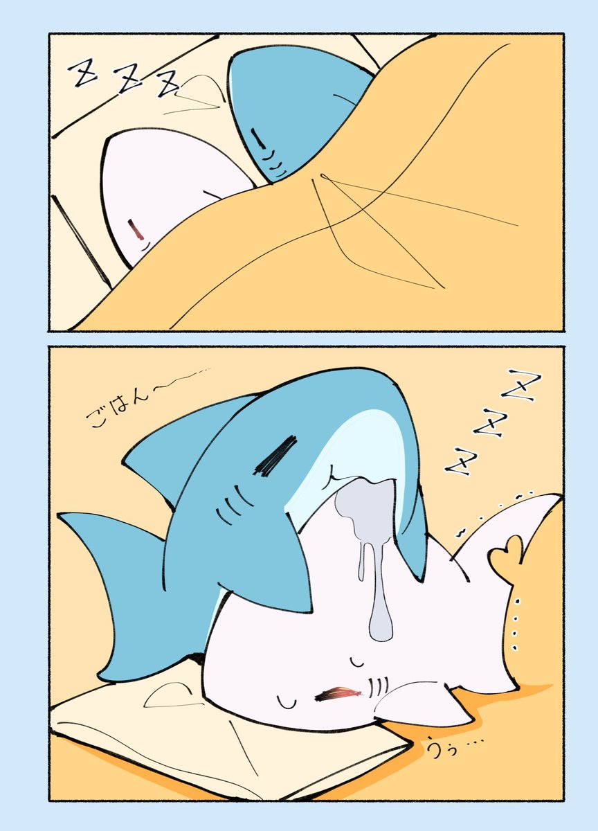 🦈🤍