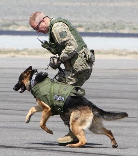 It is only one who is thoroughly acquainted with the evils of war that can thoroughly understand the profitable way of carrying it on.