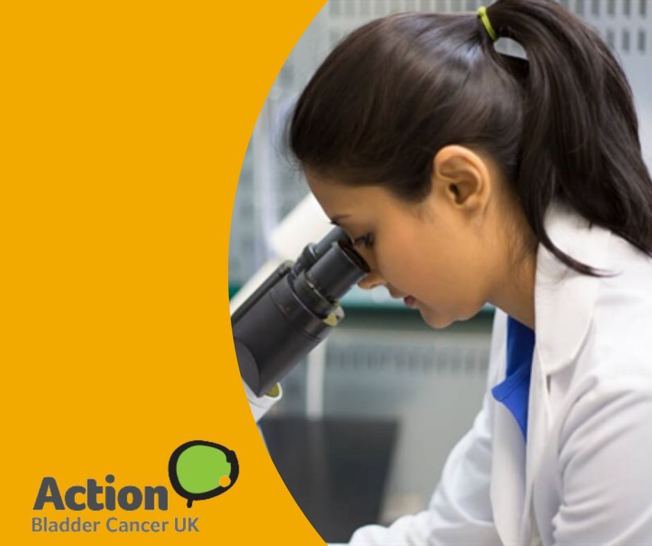 There have been few advances in bladder cancer treatments for decades. We award grants for research that has the potential to change this. 

Find out more: buff.ly/3k3Zq7p 

#ResearchFunding #CancerResearch #CancerFunding