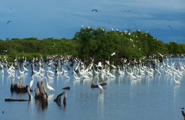 TierraVivaVzla's tweet image. #29Dic Trabajamos por el desarrollo sustentable y la calidad de vida #FelizDomingo