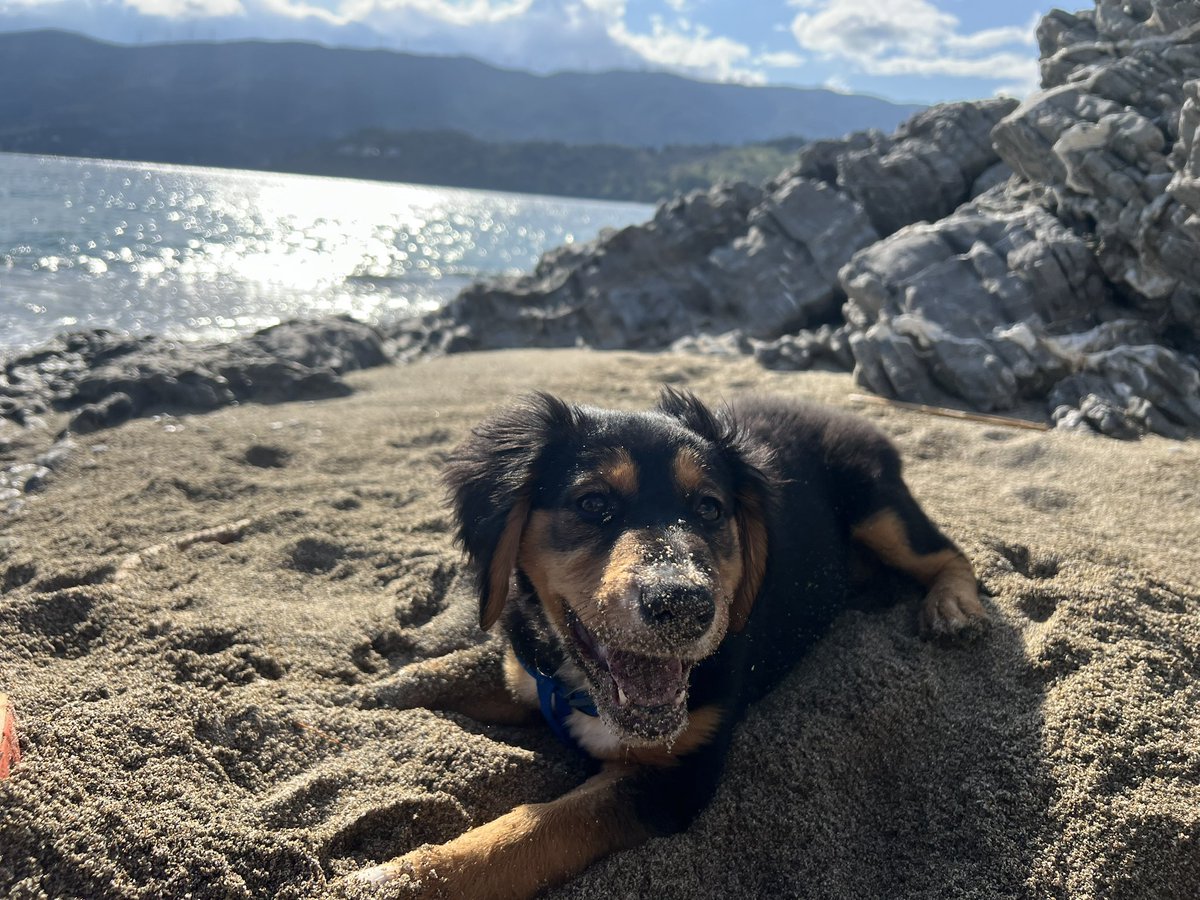 Fastbash88's tweet image. First day at the beach for baby Girl