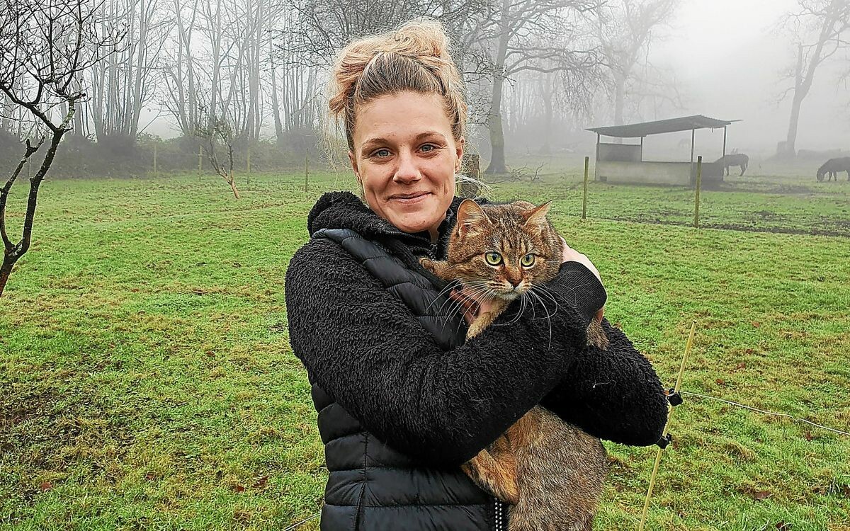 Ce chat parcourt deux fois 200 km pour se retrouver dans son jardin : cette Pluguffanaise devient sa gardienne pour les fêtes de Noël !
➡️ go.letelegramme.fr/fLn4