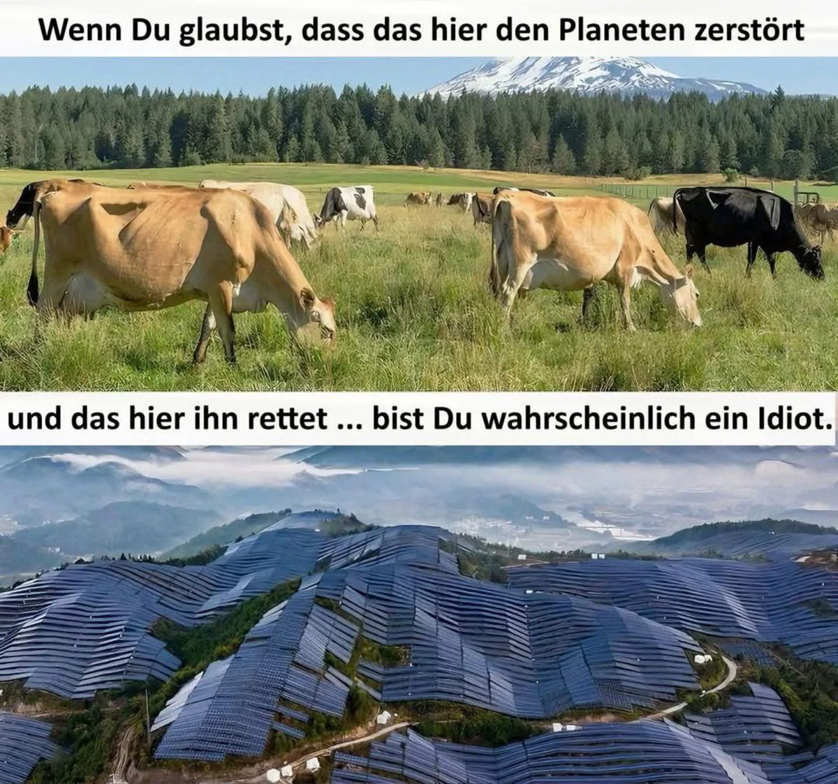 Patrick_Proemer's tweet photo. Ganz klare Worte‼️
Bist du gleicher Meinung❓
Dann = ❤️ + 🔄 + ✍️ https://t.co/MlOa4jvi7W