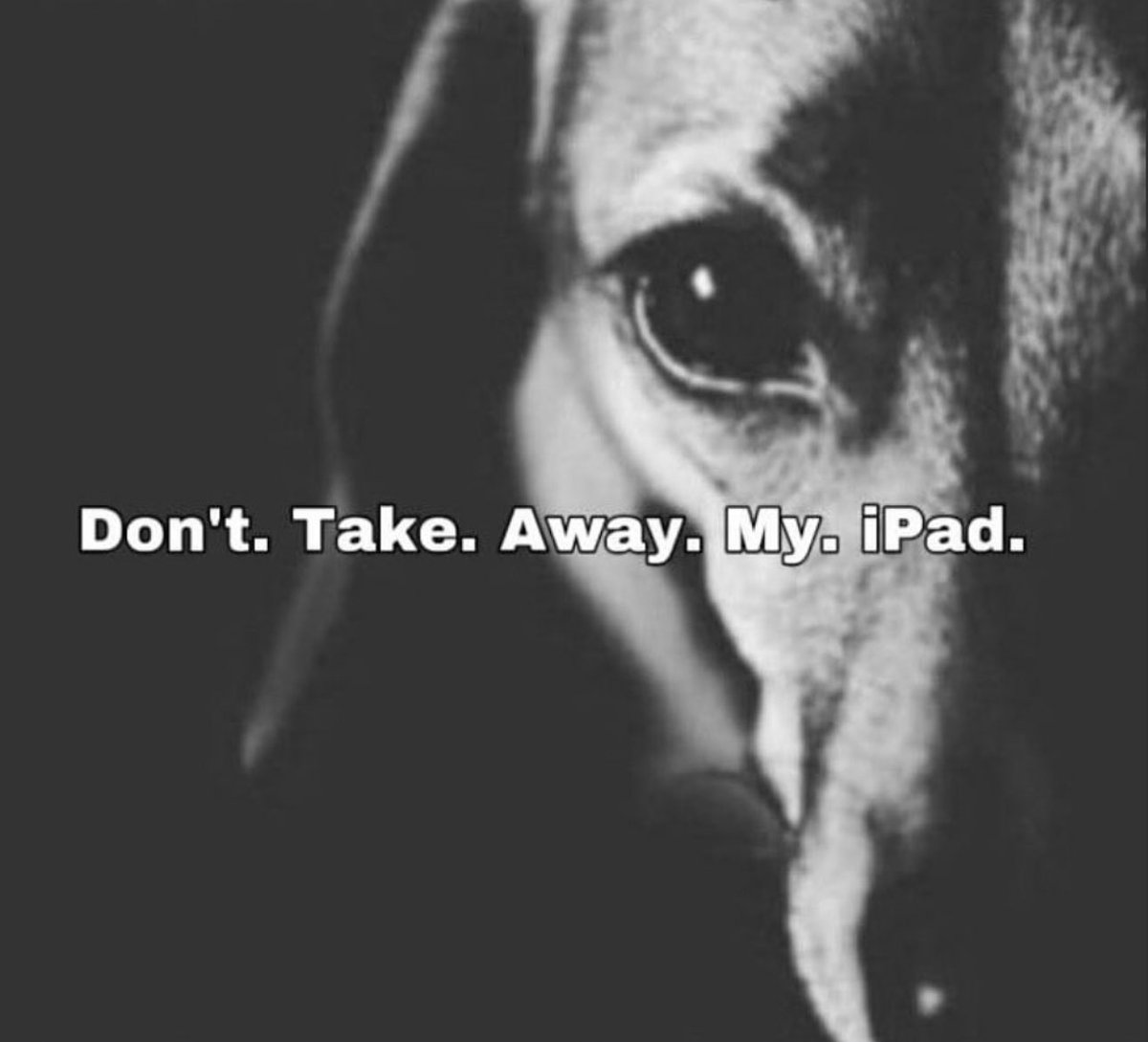 hopes_revenge's tweet image. 