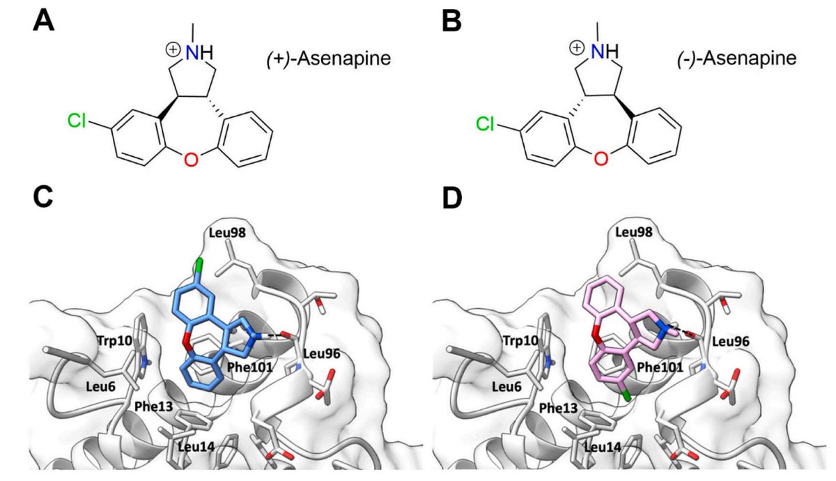Asenapine, an approved antipsychotic drug, acts as a direct survivin inhibitor, showing strong anticancer effects in vitro and in vivo . A promising step in drug repurposing for resistant cancers. 💊 🚀 just published in Biomedicine &amp; Pharmacotherapy
doi.org/10.1016/j.biop…