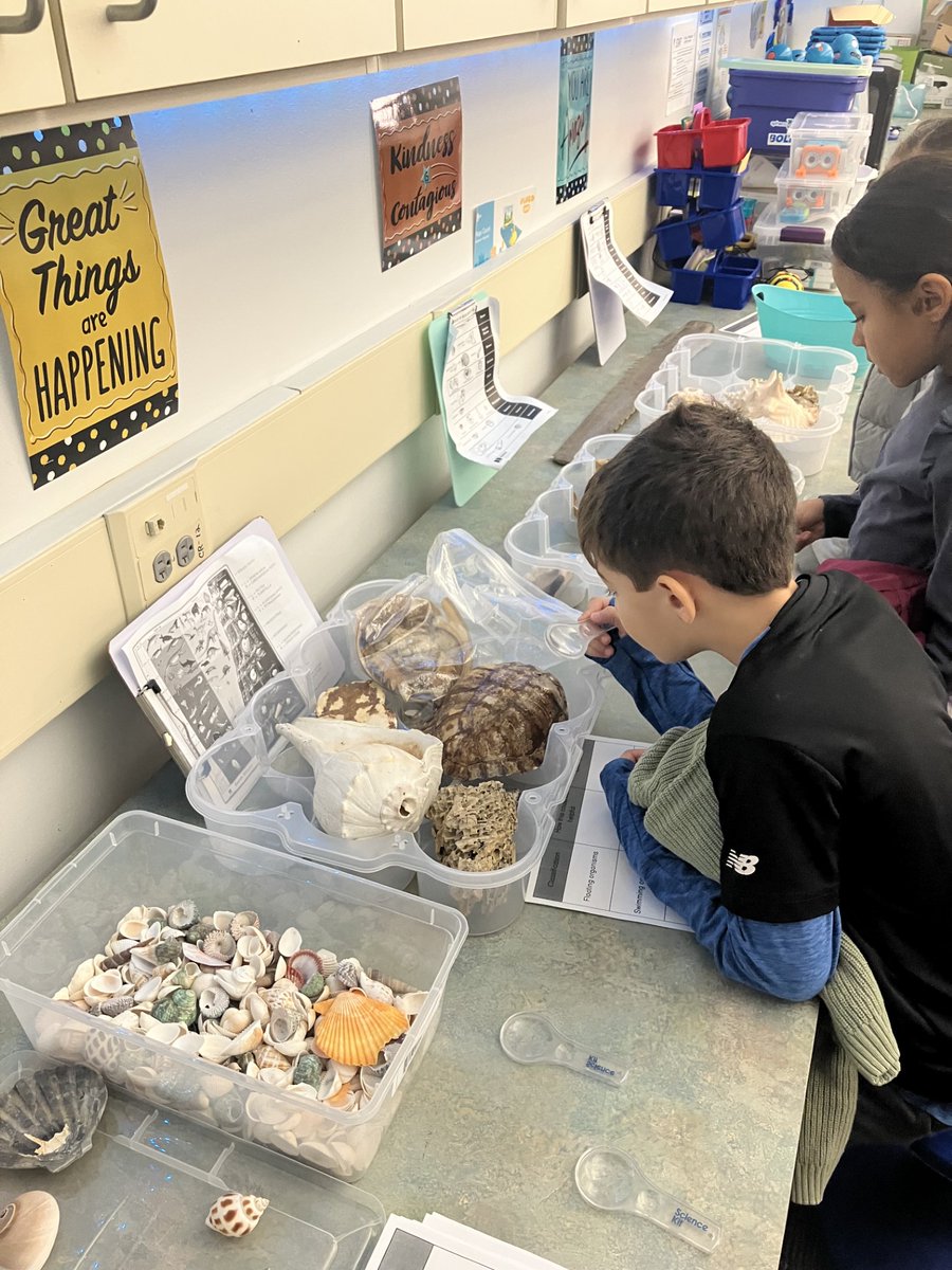 Thalia Elementary (@thalia_ele) on Twitter photo The fourth-grade was so engaged in their ocean learning stations. <a href="/NclKeros/">Nicole M. Keros, Ed.S</a> <a href="/KravchakTeach/">Adrienne Kravchak</a> <a href="/vbschools/">VBSchools</a> @MrsHoldcraft The fourth-grade was so engaged in their ocean learning stations. <a href="/NclKeros/">Nicole M. Keros, Ed.S</a> <a href="/KravchakTeach/">Adrienne Kravchak</a> <a href="/vbschools/">VBSchools</a> @MrsHoldcraft