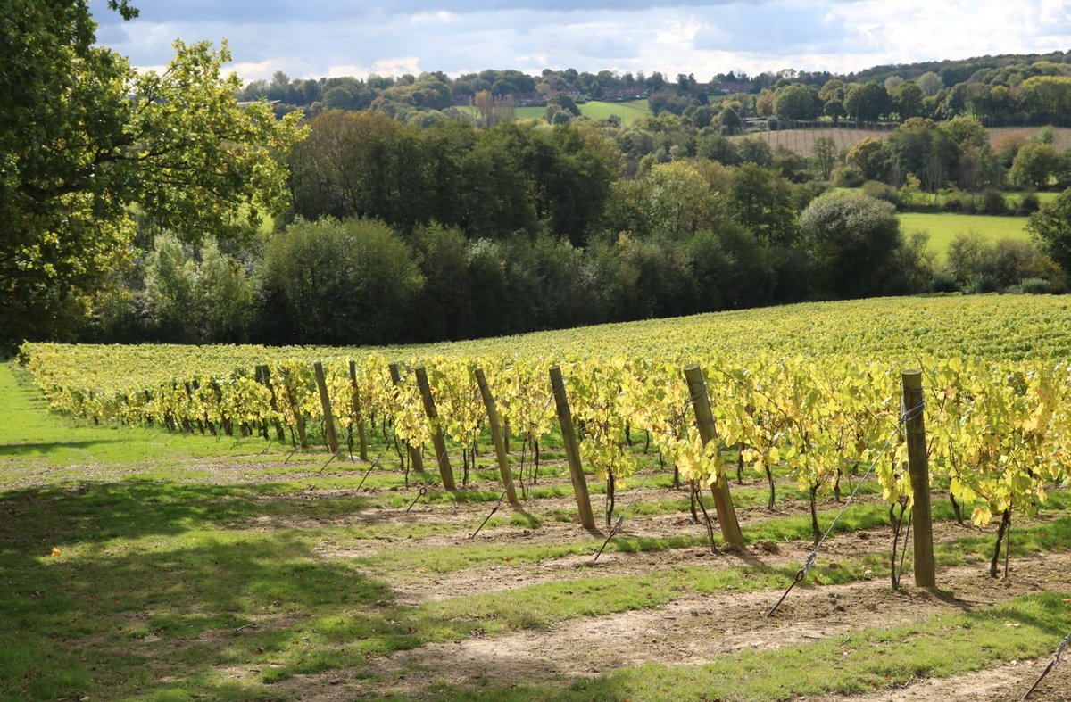 Horticultural NRoSO workshops are now available to book for the New Year!

The horticultural course also includes an agronomy update for top fruit 🍏

Click here for more information and to book your place now! 
loom.ly/HePrrWg