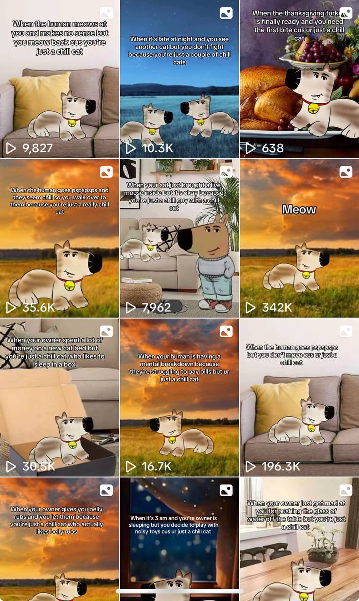 ChillCatX's tweet photo. @Regrets10x $CHILLCAT is the new viral cat meme on tik tok!!!

Join the community on telegram if you love cat memes https://t.co/JLbsmyNOiv