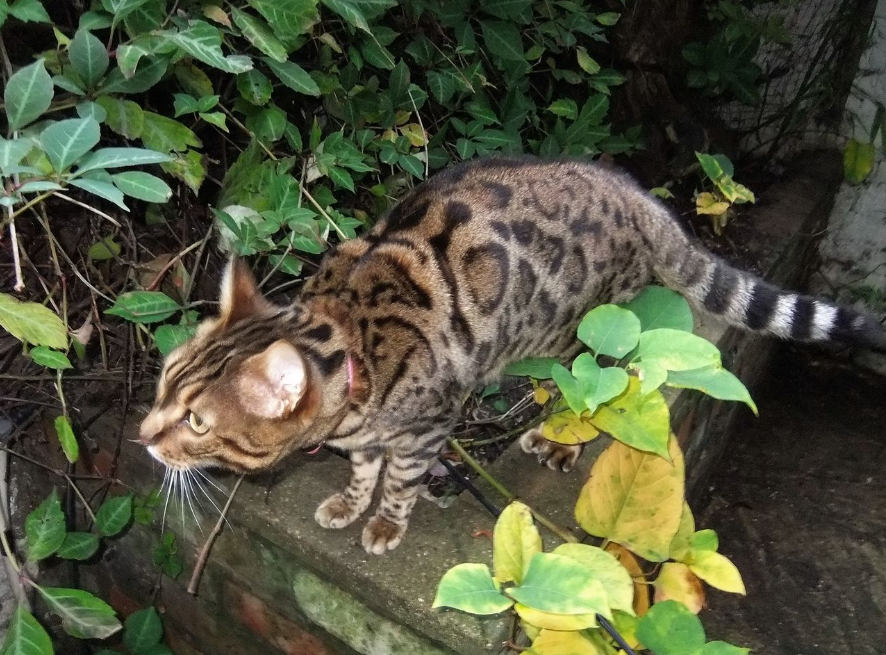 Laura Jamieson tweet media