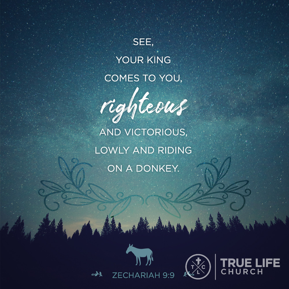 FindTrueLifeCC's tweet image. 