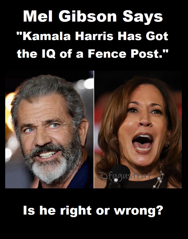 I'm 𝔽ugustra™ tweet media